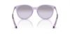 Picture of Armani Exchange Sunglasses AX4140S