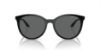 Picture of Armani Exchange Sunglasses AX4140SF