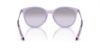 Picture of Armani Exchange Sunglasses AX4140SF
