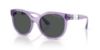 Picture of Armani Exchange Sunglasses AX4120S