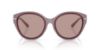 Picture of Michael Kors Sunglasses MK2229D