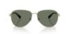 Picture of Michael Kors Sunglasses MK1160