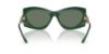Picture of Michael Kors Sunglasses MK2235U