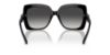 Picture of Michael Kors Sunglasses MK2213F