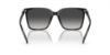 Picture of Michael Kors Sunglasses MK2197F