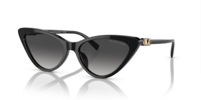 Picture of Michael Kors Sunglasses MK2195U