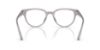 Picture of Jimmy Choo Eyeglasses JC3051D