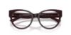 Picture of Jimmy Choo Eyeglasses JC3050U