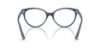 Picture of Jimmy Choo Eyeglasses JC3047
