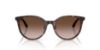 Picture of Jimmy Choo Sunglasses JC5056JD