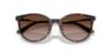 Picture of Jimmy Choo Sunglasses JC5056JD