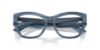 Picture of Jimmy Choo Eyeglasses JC3033BU