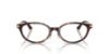 Picture of Jimmy Choo Eyeglasses JC3029D