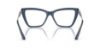 Picture of Jimmy Choo Eyeglasses JC3020B