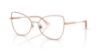 Picture of Jimmy Choo Eyeglasses JC2006