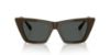 Picture of Jimmy Choo Sunglasses JC5028
