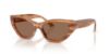 Picture of Jimmy Choo Sunglasses JC5022B