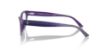 Picture of Jimmy Choo Eyeglasses JC3005