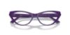 Picture of Jimmy Choo Eyeglasses JC3005