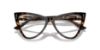 Picture of Jimmy Choo Eyeglasses JC3004B