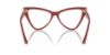 Picture of Jimmy Choo Eyeglasses JC3004B
