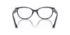 Picture of Jimmy Choo Eyeglasses JC3003BU