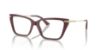 Picture of Jimmy Choo Eyeglasses JC3002B
