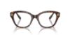 Picture of Swarovski Eyeglasses SK2038