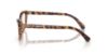Picture of Swarovski Eyeglasses SK2034