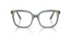 Picture of Swarovski Eyeglasses SK2033