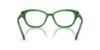 Picture of Swarovski Eyeglasses SK2032