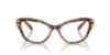 Picture of Swarovski Eyeglasses SK2031