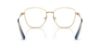 Picture of Swarovski Eyeglasses SK1019