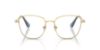 Picture of Swarovski Eyeglasses SK1019