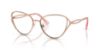 Picture of Swarovski Eyeglasses SK1017