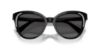 Picture of Swarovski Sunglasses SK6031F