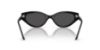 Picture of Swarovski Sunglasses SK6030