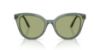 Picture of Swarovski Sunglasses SK6031