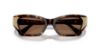 Picture of Swarovski Sunglasses SK6029