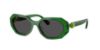 Picture of Swarovski Sunglasses SK6028F