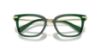 Picture of Swarovski Eyeglasses SK2018