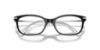 Picture of Swarovski Eyeglasses SK2017