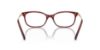 Picture of Swarovski Eyeglasses SK2017