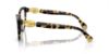 Picture of Swarovski Eyeglasses SK2004F