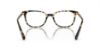 Picture of Swarovski Eyeglasses SK2003