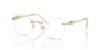 Picture of Swarovski Eyeglasses SK1014