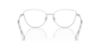 Picture of Swarovski Eyeglasses SK1012