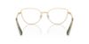 Picture of Swarovski Eyeglasses SK1012