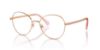 Picture of Swarovski Eyeglasses SK1013