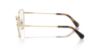 Picture of Swarovski Eyeglasses SK1012